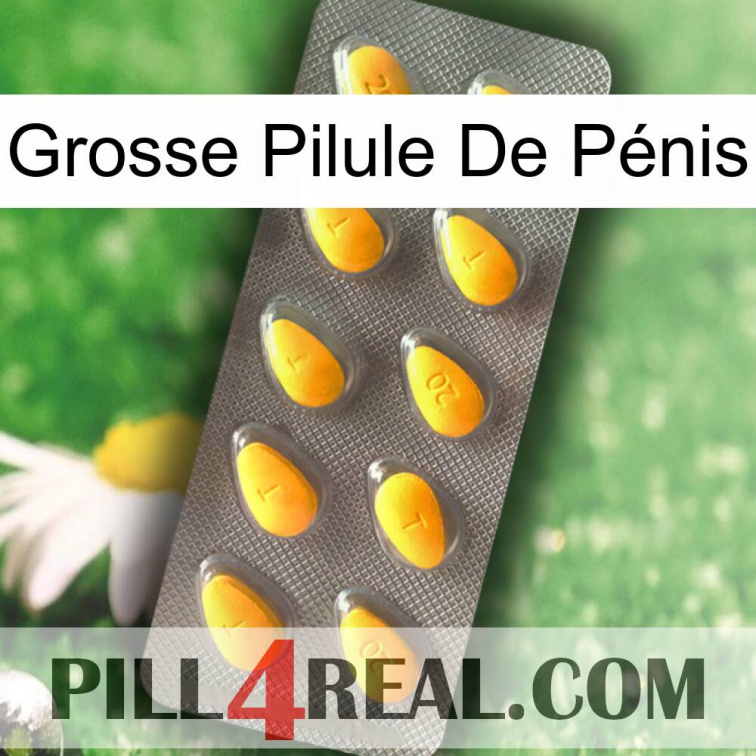 Grosse Pilule De Pénis cialis1